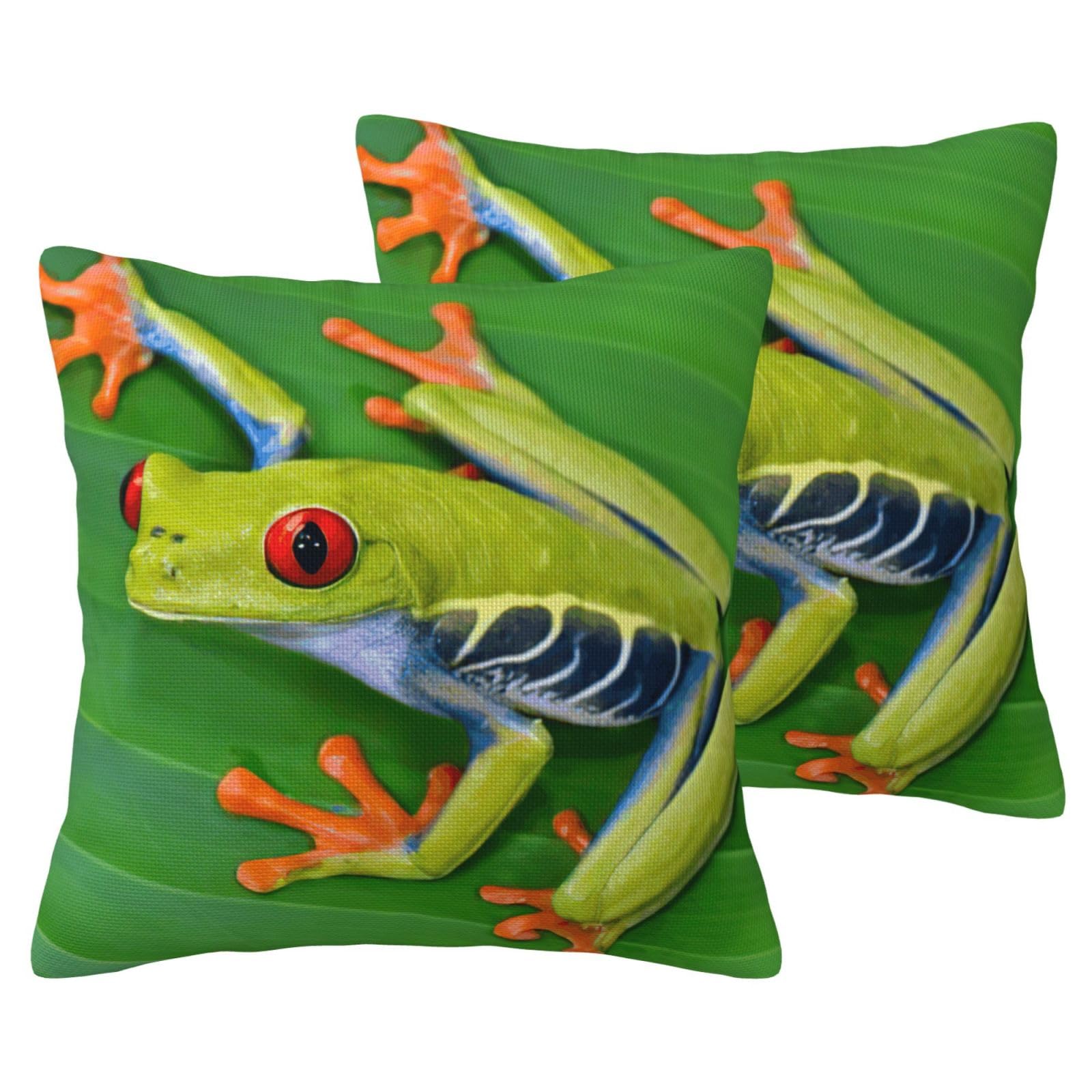 Housses de coussin grenouille pour un salon nature et cosy EdWal