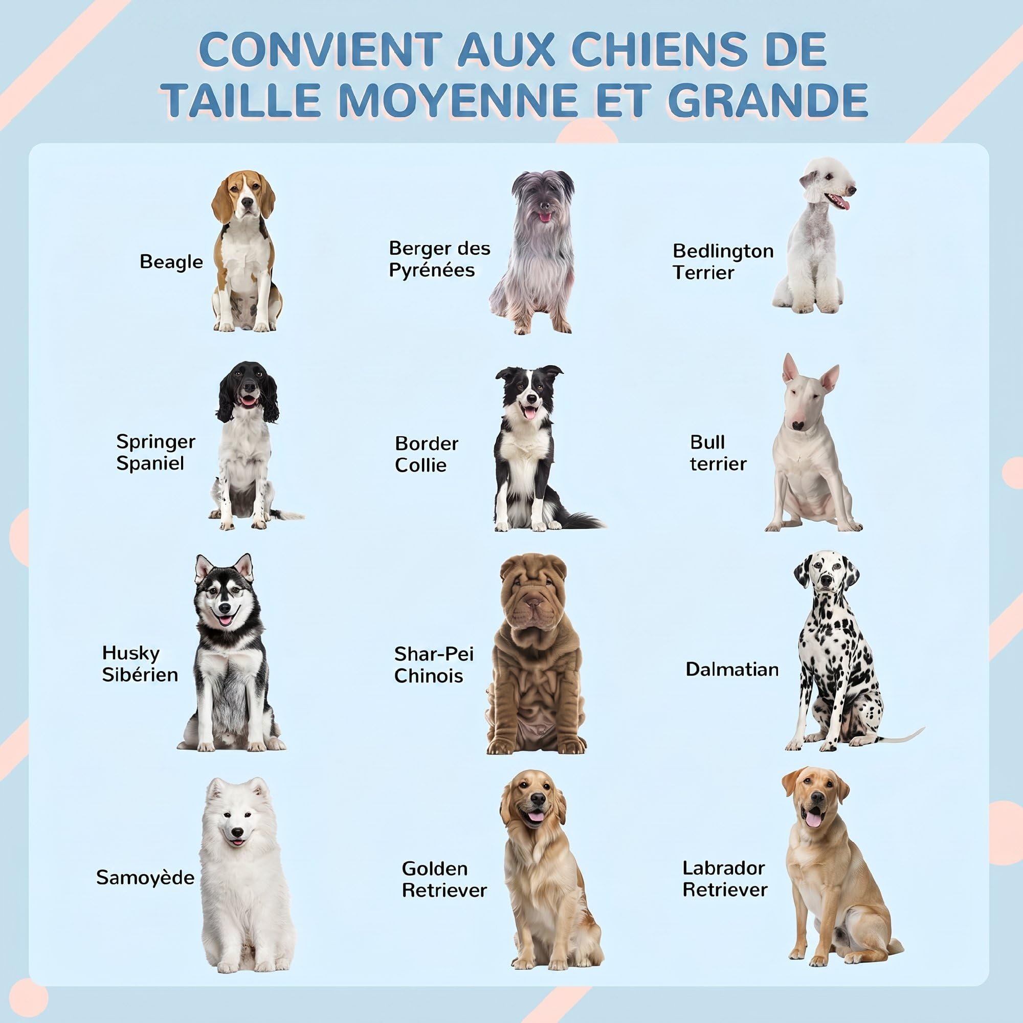 PawHut Außen-Hundehaus für große Hunde 84.2x98.2x82cm Grau | Wasserdichtes PP, Schrägdach, offene Vordertür, obere Lüftungsöffnung.