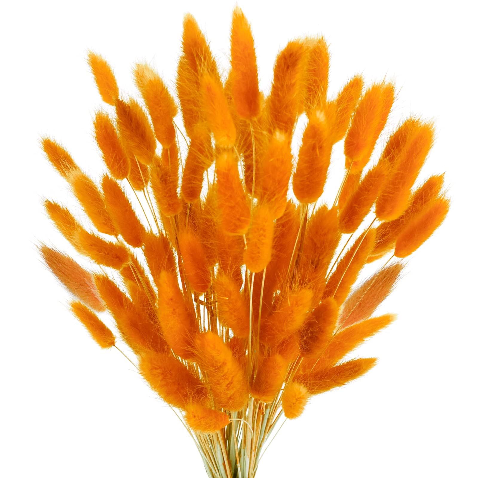 Dried Flowers Bouquet Natural， Fiori secchi bouquet naturale(Orange,40PCS)