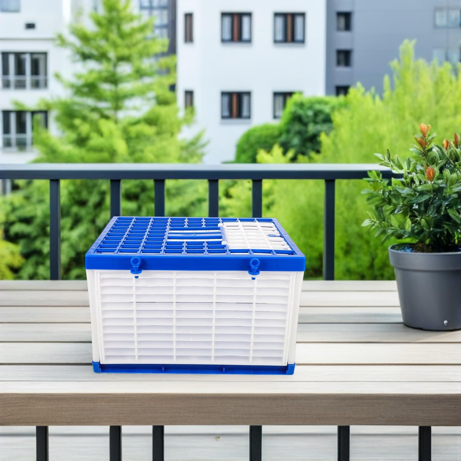 Jaula Plegable de Plástico para Palomas Mensajeras 40X29X25 CM Cesta de Transporte Ventilada para Entrenamiento y Competición Maletín Portátil para Uso Doméstico y Viajes