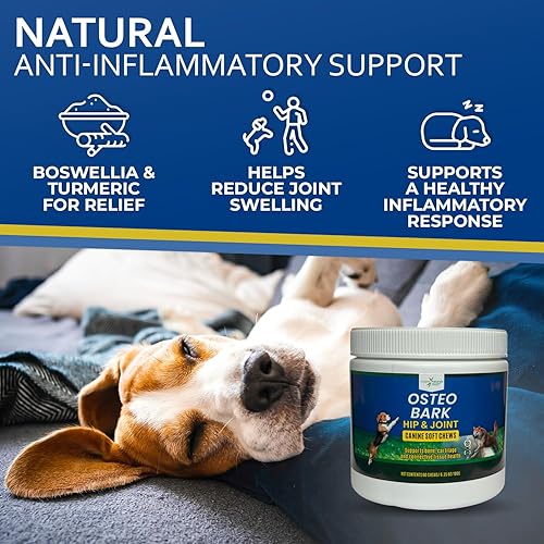 Miniatura 4 de osteobark cadera y articulaciones mascota Suplemento con cúrcuma, glucosamina, condroitina, MSM, todo Natural máxima fuerza alivio de dolor en las