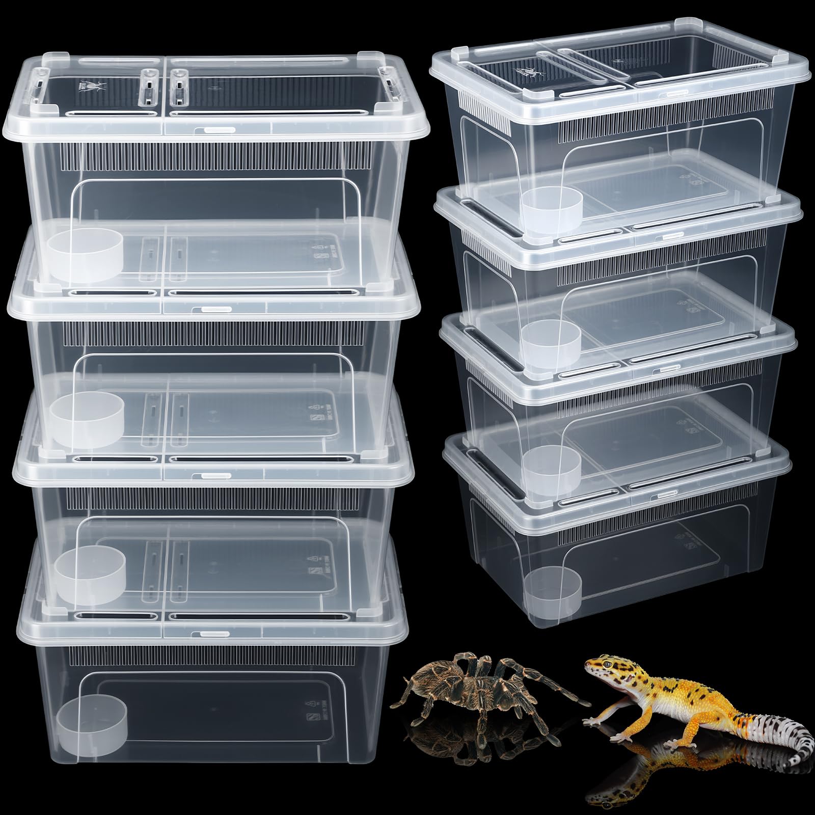 Irenare 8 Pcs Reptile Breeding Box Plastic Spider Terrarium Tarantula Feeding Box for Bearded Dragon Lizard Spider Gecko Scorpion(Vent Strips,Clear,10.6 x 7.4 x 4.7 Inch)