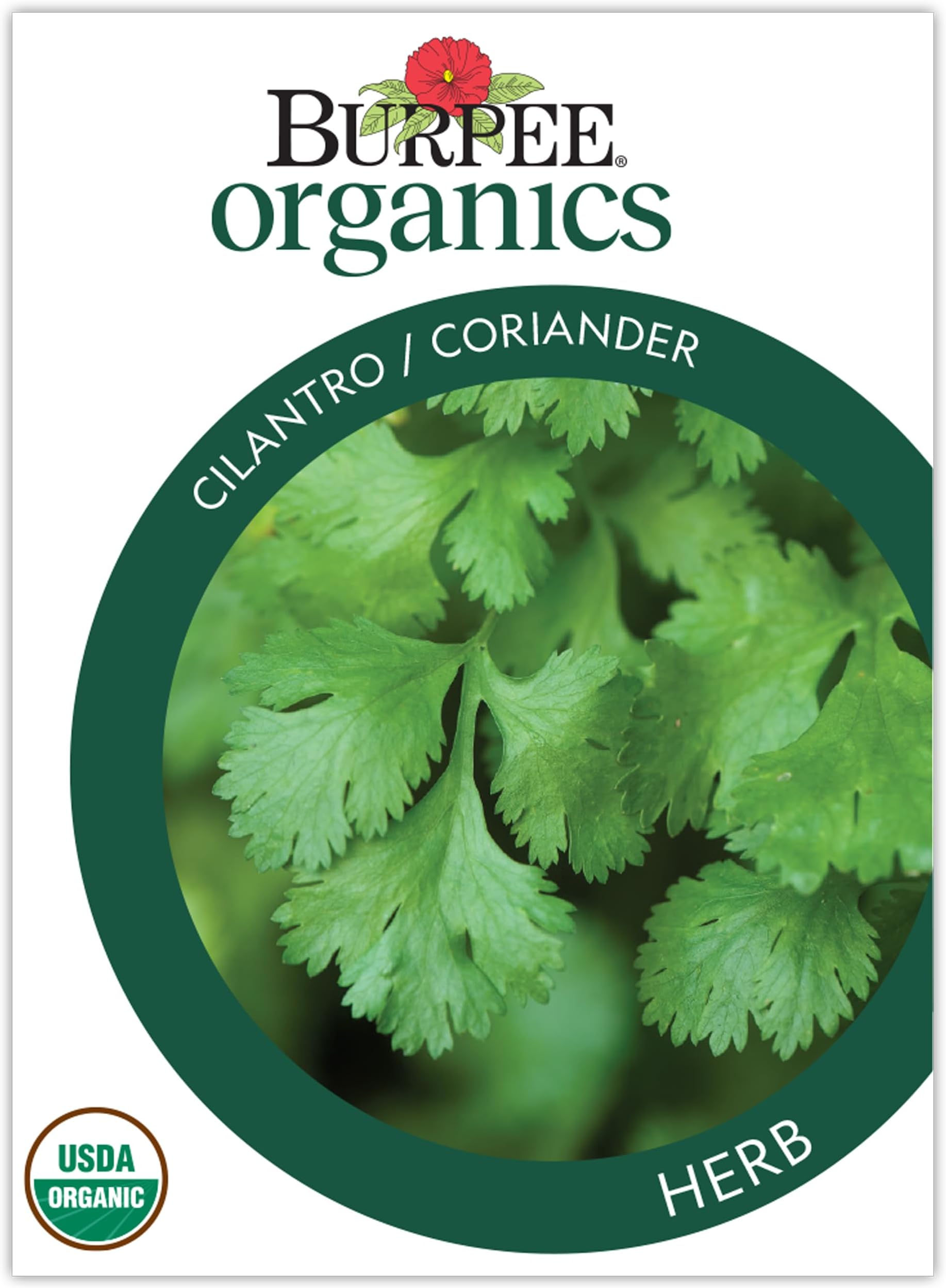 Burpee Organic Cilantro Seeds - Slow-Bolt Culinary Herb