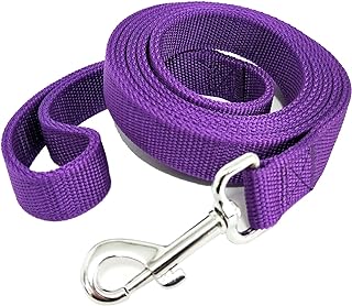 Strong Nylon Dog Leash with 2-Layer, 4 FT/ 6 Feet Long, 1 Inch Wide for Medium Large Dogs (1'' x 5 FT, Purple)