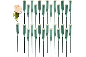 Floral Water Tube by Tessco: The Perfect Solution for All Your Flower Bud Vases