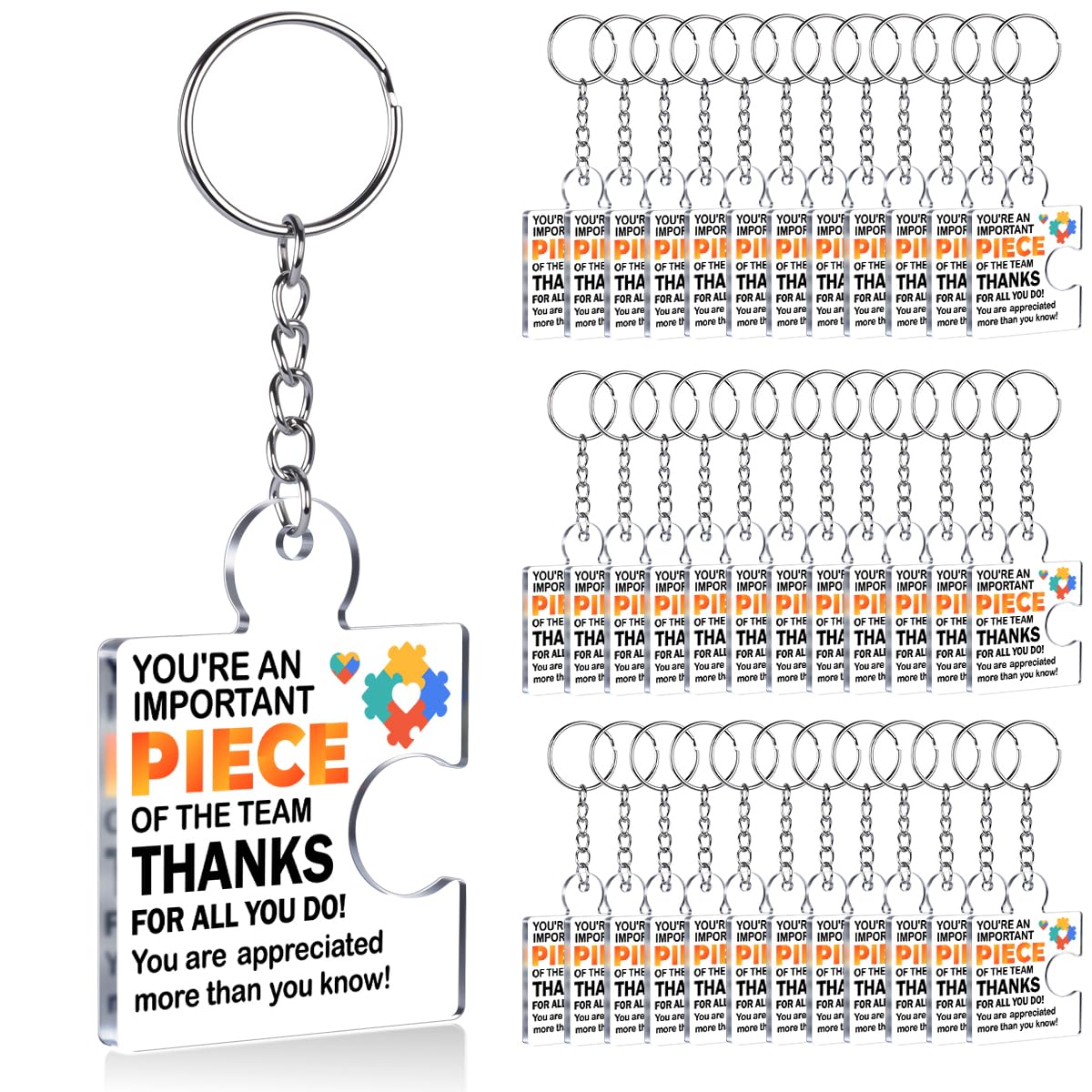 Team Appreciation Gifts Bulk Thank You Keychains for Coworkers