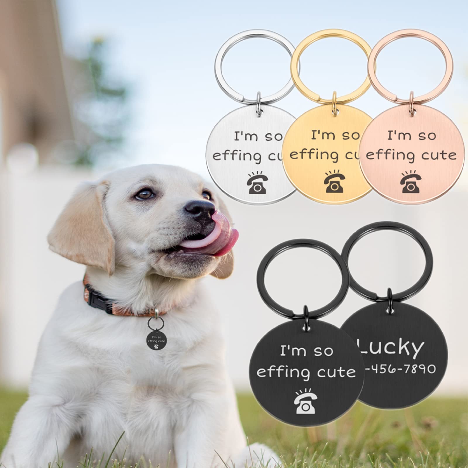 Targhetta Per Cane Personalizzata YEHANTI - Medaglietta In Acciaio Inossidabile Con Incisione Doppia Faccia Per Cani E Gatti (Nero, Grande) - Foto 10