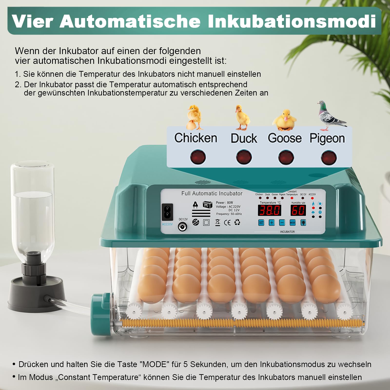 CoInceptus Brutautomat Vollautomatisch, Inkubator Hühner 24-36 Eier mit Automatischem Eierwenden und Automatischer Wasserzugabe, Brutkasten Hühner mit Vier Automatischen Inkubationsmodi