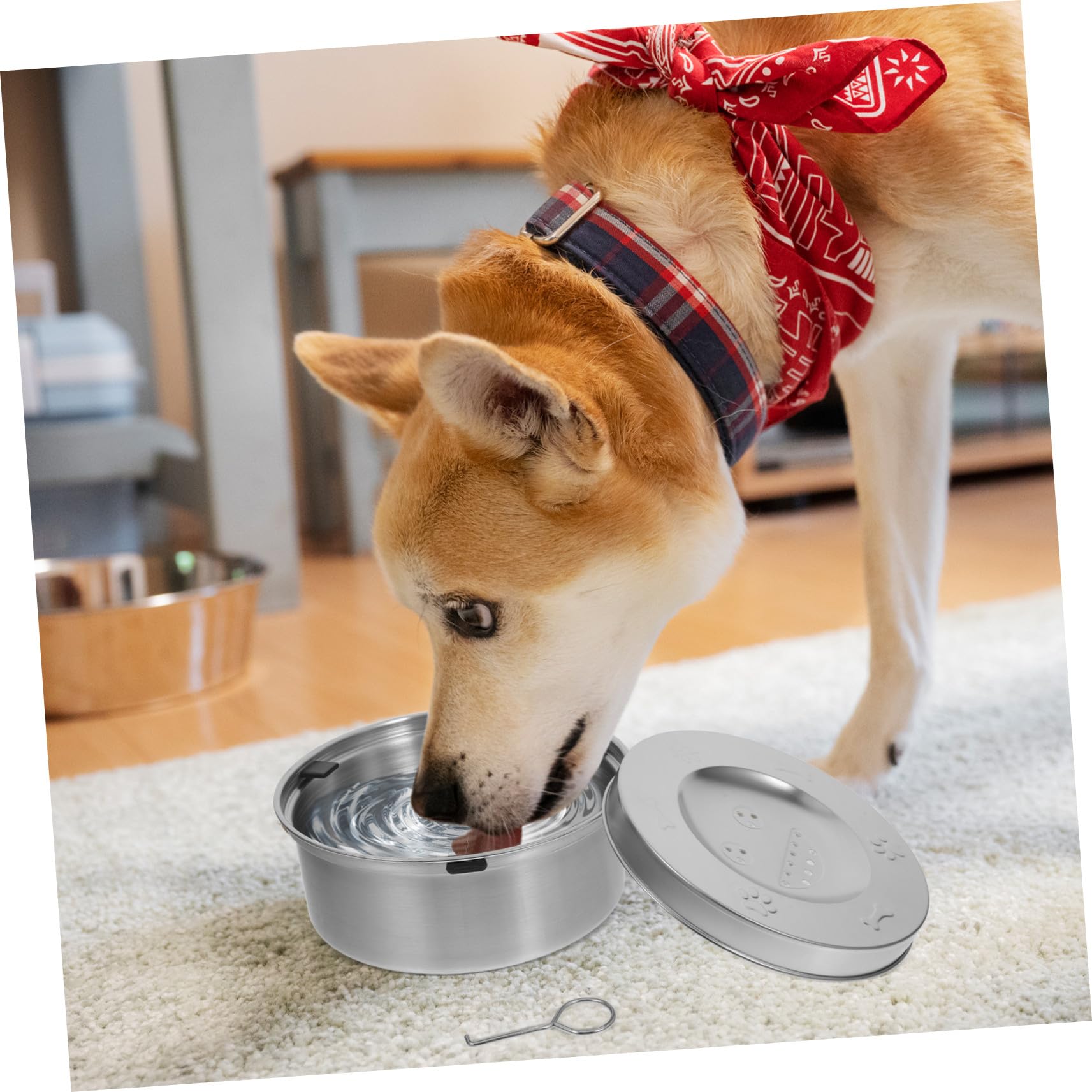 Edelstahl Napf für Hunde mit Tropffreiem Design und Schwimmender Wasserschale Großer Hunde Wassernapf zur Regulierung der Wasseraufnahme Beim Haustier