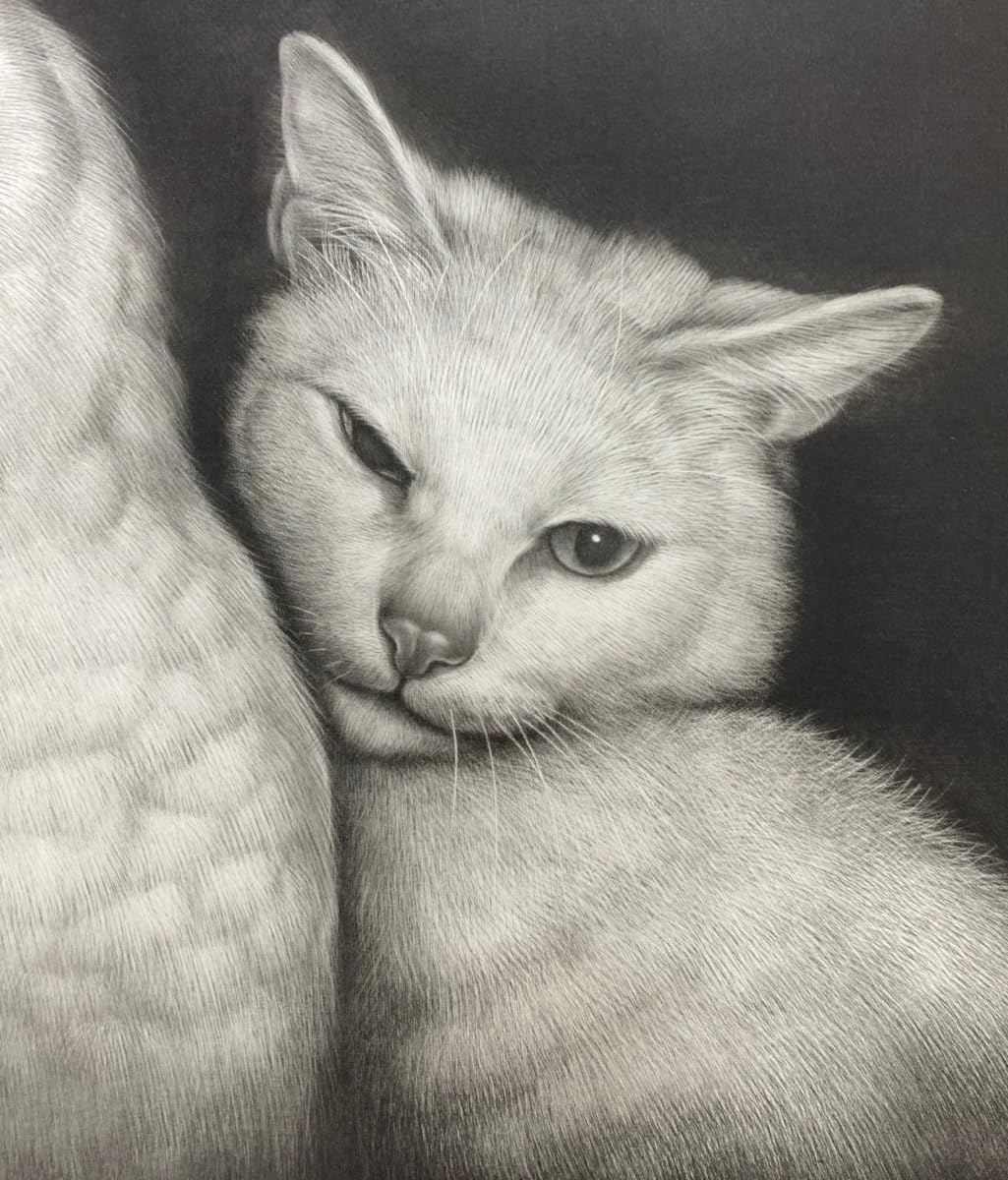 生田宏司　猫とフクロウの銅版画 A4サイズ 生田宏司 猫とフクロウの銅版画 A4サイズ 生田宏司 猫とフクロウの