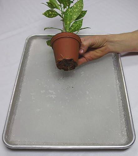 Miniatura 4 de Alfombrillas de riego para plantas en macetas de interior y exterior, 2 unidades