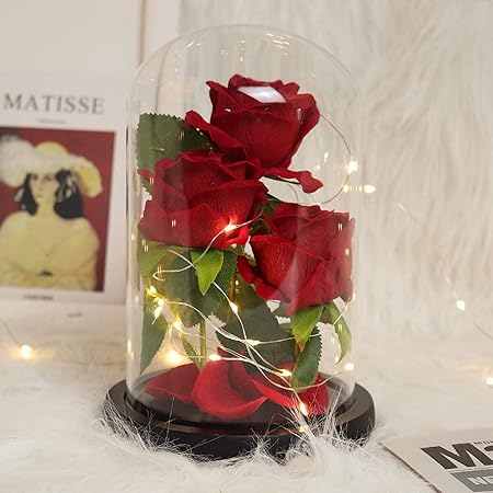Yaonic Ewige Rose It Halskette,Geschenke Für Frauen,Echte Rose In