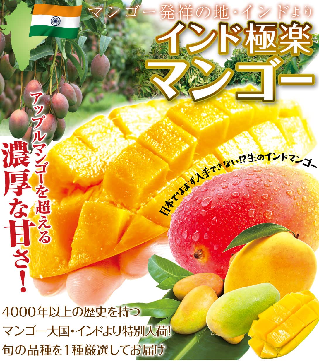 Amazon.co.jp: マンゴー 極楽マンゴー 2kg インド産 品種おまかせ ご 