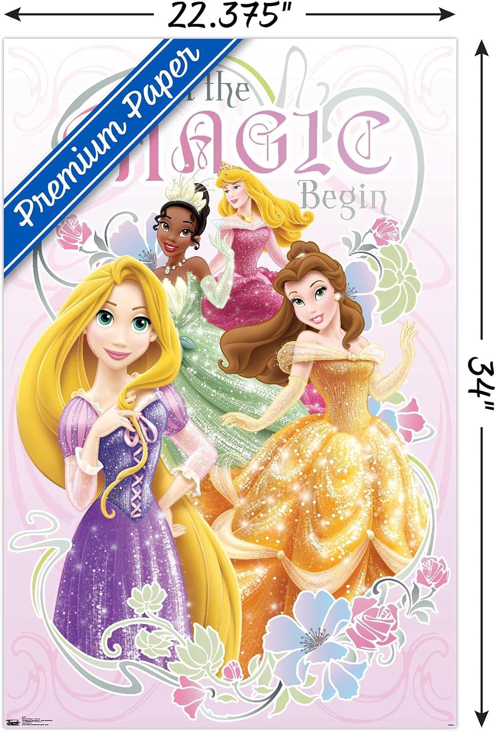 Disney Princess - Let the Magic Begin Wall Poster