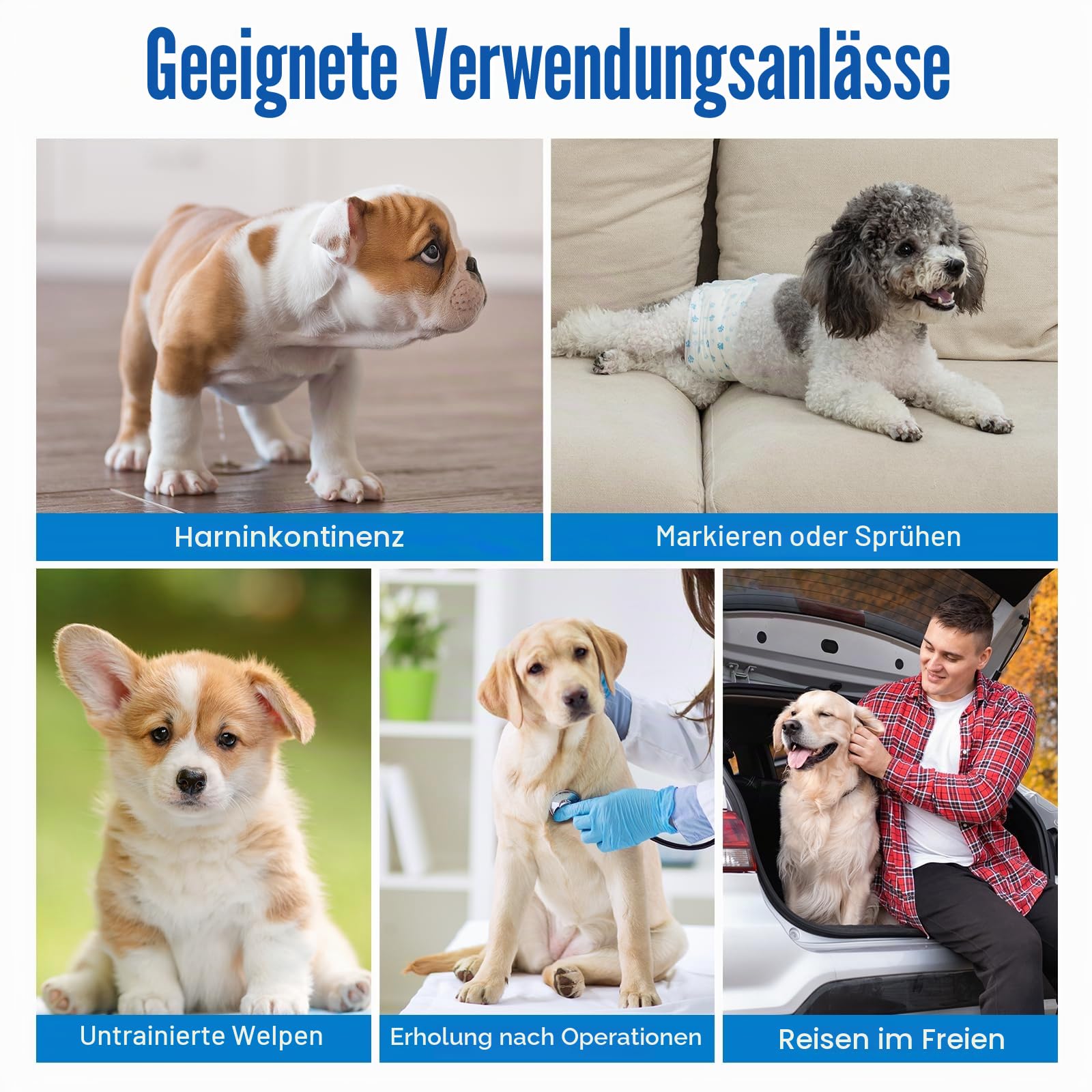Pet Soft Hundewindeln für Rüden, Einweg-Windeln für Rüden, Super Saugfähig Rüdenwindeln mit Auslaufsicher (S 48stück)