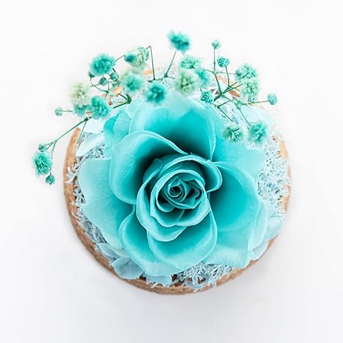 Miniatura 2 de Regalos de rosa real preservada para ella Forever Rose en cúpula de cristal regalos de rosa eterna para mujeres mamá en el día de San Valentín