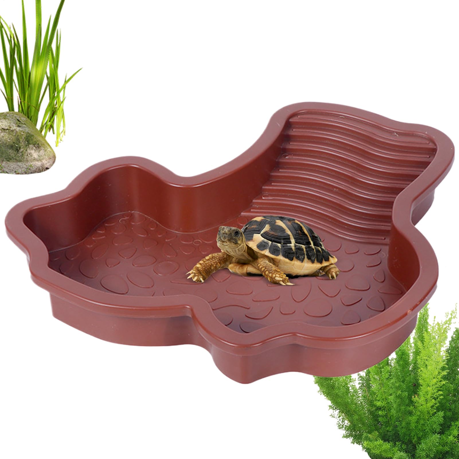 Piscine pour reptiles et bol d'eau avec terrasse pour tortue