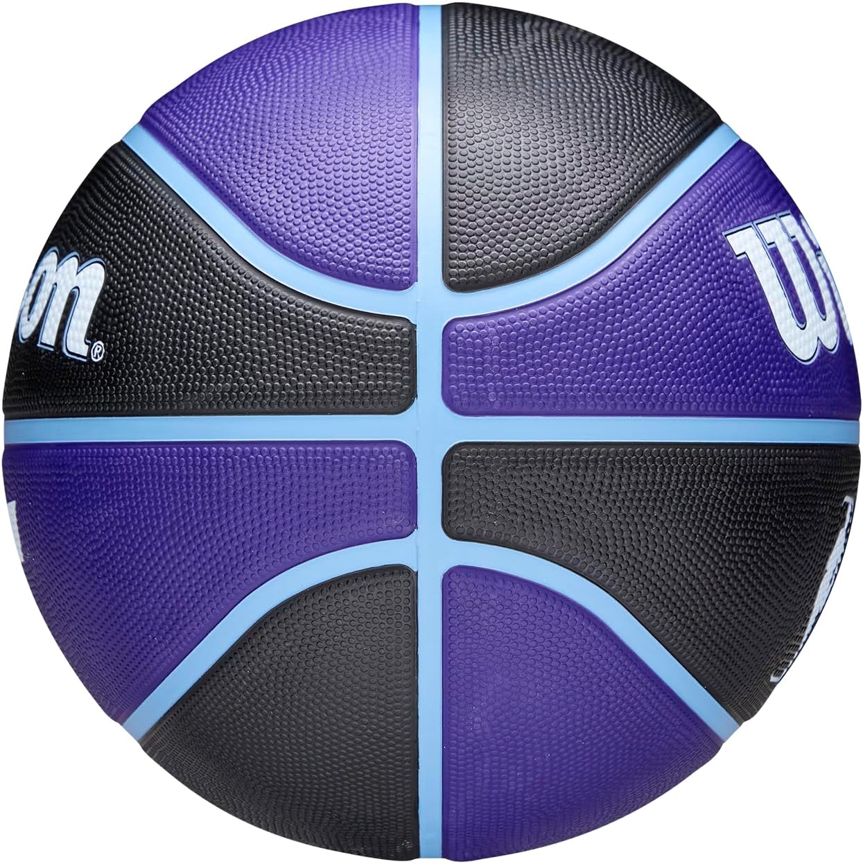 WILSON NBA Team Tribute Basketballs - Size 7-29.5"