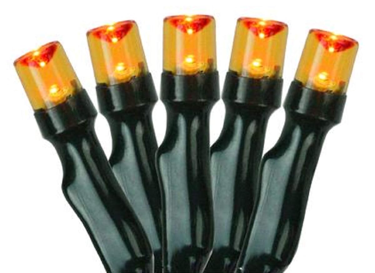 Northlight LED Christmas Lights - Battery Operated, 20 Count, 9.5 Black Wire,