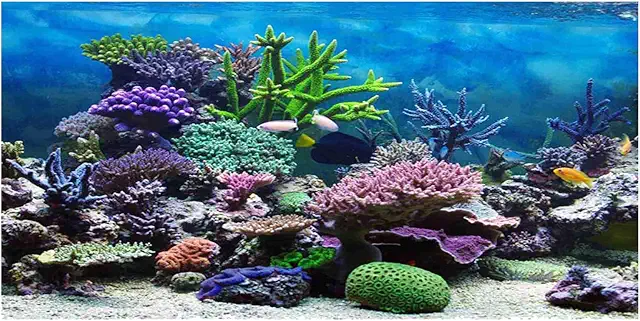 Tiiyee 3D Aquarium Background Sticker - Underwater PVC Decor for Fish Tanks