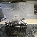 Review Image by james moxley