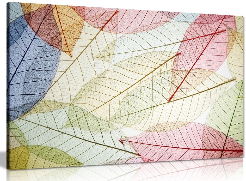 Panther Print Skeleton Leaf Abstract Canvas Wall Art Picture Print (36X24in)