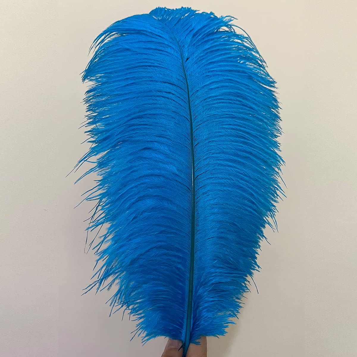 10pcs Large Turquoise Ostrich Feathers 16-18 inch Fluffy Feather for Crafts Home Party Decoration Wedding Centerpieces Clothes Vase Decor
