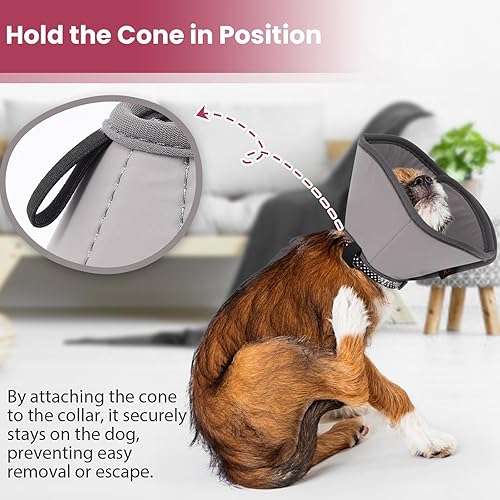Miniatura 3 de BARKLESS Cono de perro, cono suave para cachorros y gatos después de la cirugía para dejar de lamer, collar isabelino ajustable para cirugía de