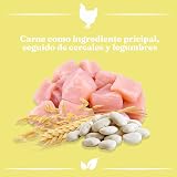 Ver la foto 1