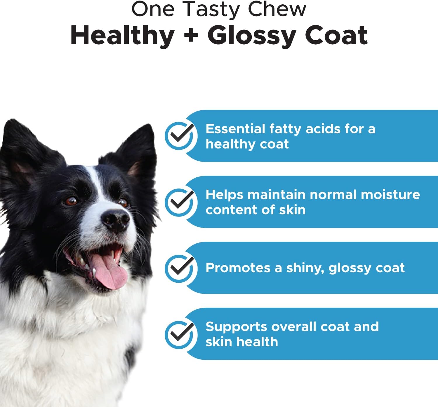 Chlorhexidine Shampoo + Skin Health Salmon Bundle - Itch Relief, Shiny Dog Coat, Dog Shampoo for Allergies, 100% Natural Fish Oil with Omega3s, Reduce Shedding, Healthy Skin & Coat