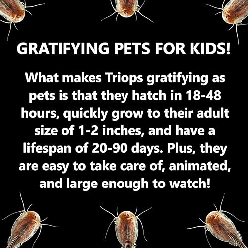 Miniatura 6 de Kit de Triops, contiene huevos, acuario, comida, instrucciones y consejos útiles para eclosionar y cultivar tus propias criaturas prehistóricas,