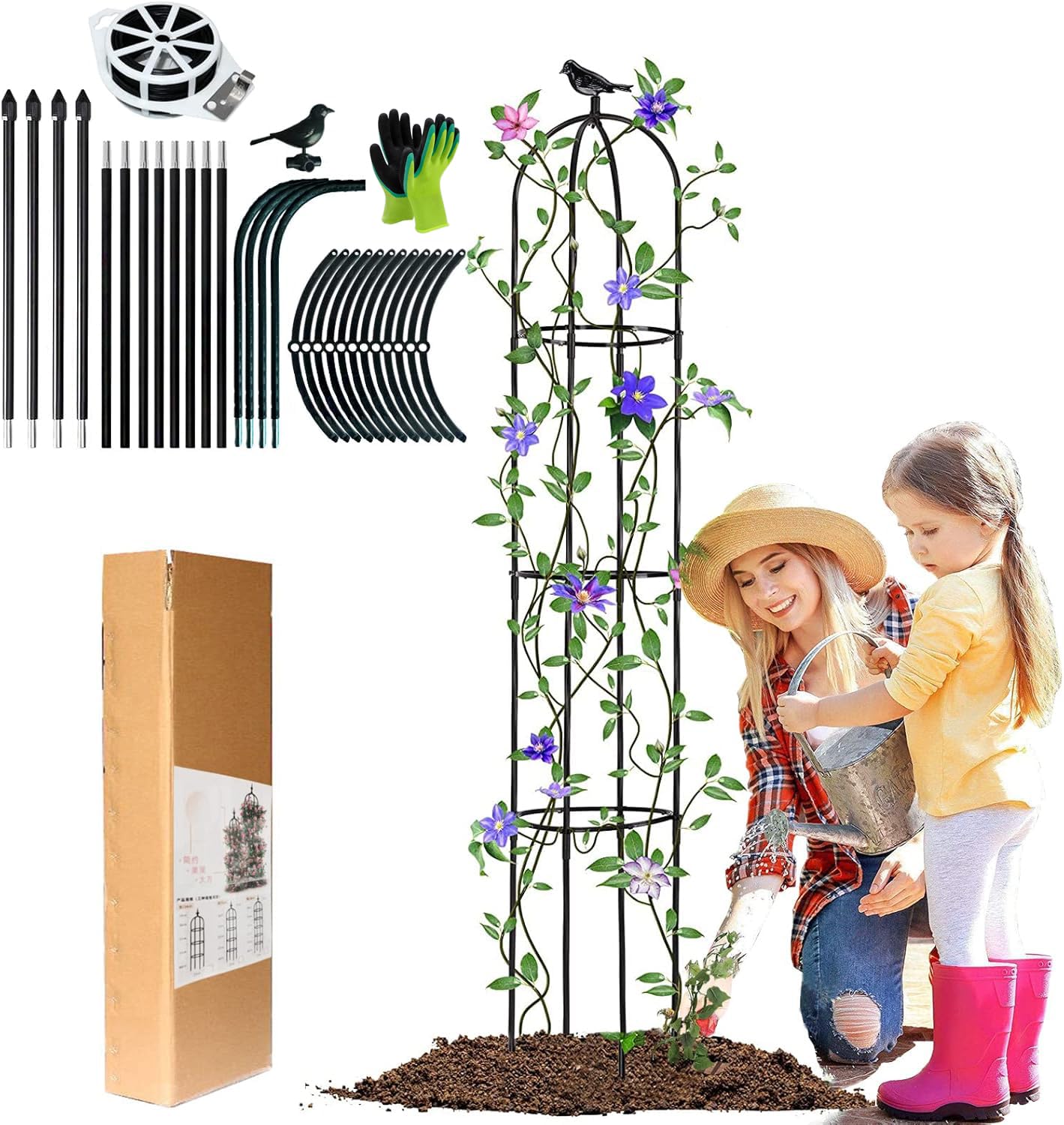 obélisque de jardin pour roses