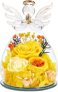 Birthday Gifts for Women Mom Preserved Roses in Glass Angel Figurines Fresh Flowers for Delivery Forever Flowers Eternal Rose Christmas for Grandma Sister Wife Her from Daughter