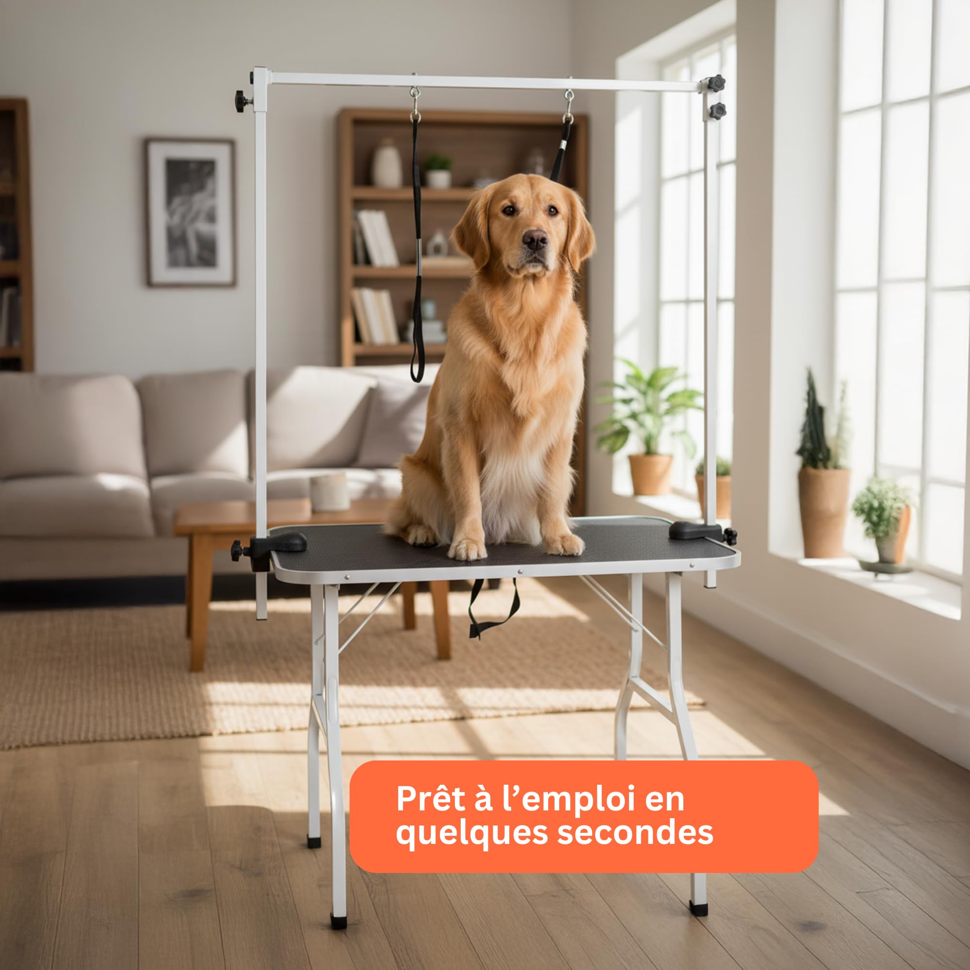 AVOID Table De Toilettage Canine Pliable 90x61 Cm Hauteur 76 Cm en Acier Inoxydable avec Plateau Antidérapant pour Tondeuse pour Chien, Tondeuse Et Chien Accessoires pour Salon Ou Maison
