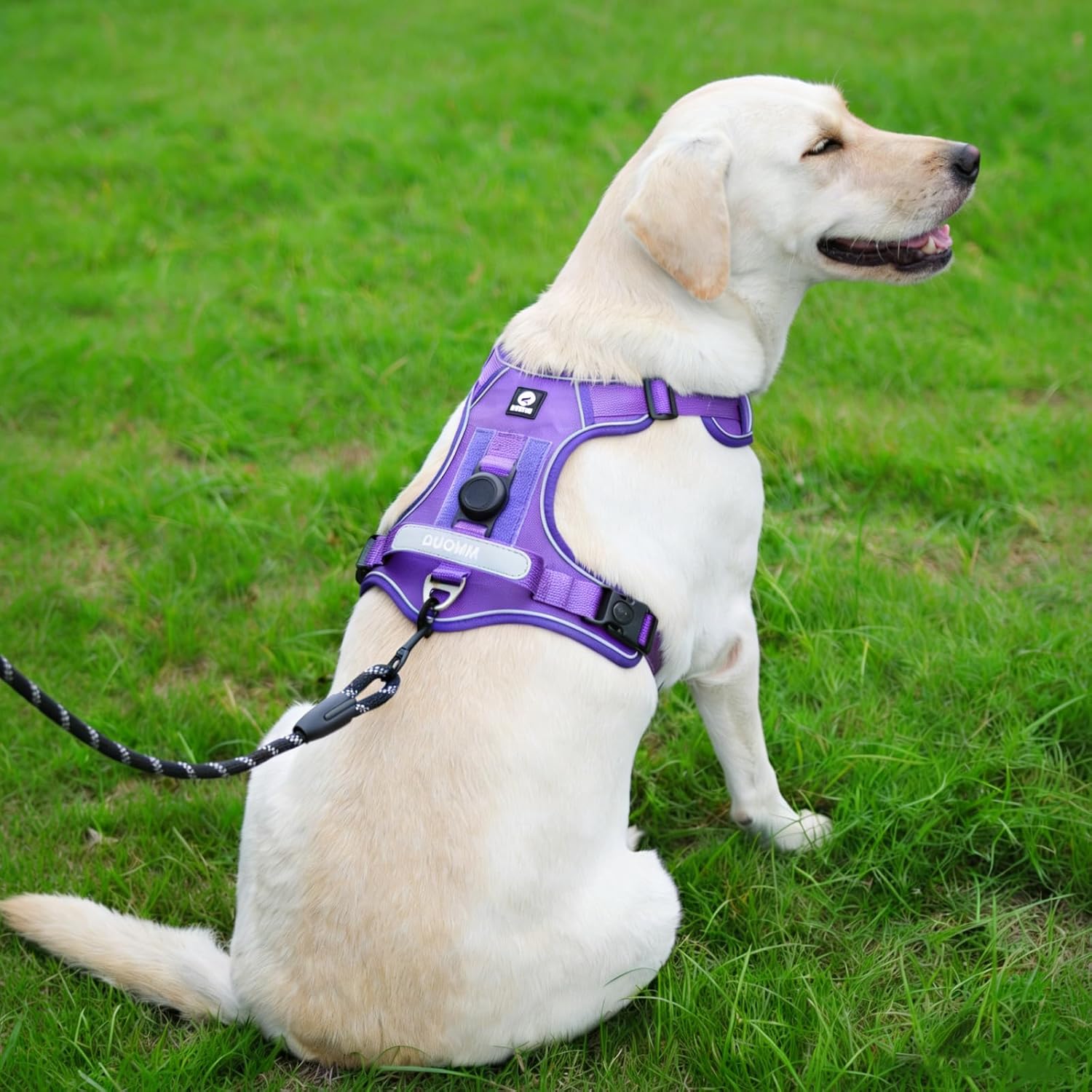 Waterproof and Breathable Dog Harness, Explosion-Proof Flush pet Harness, Adjustable Soft Padded pet Vest, Carrying Instant Control Handle, Reflective pet Vest for Easy Walking (Purple, Small)