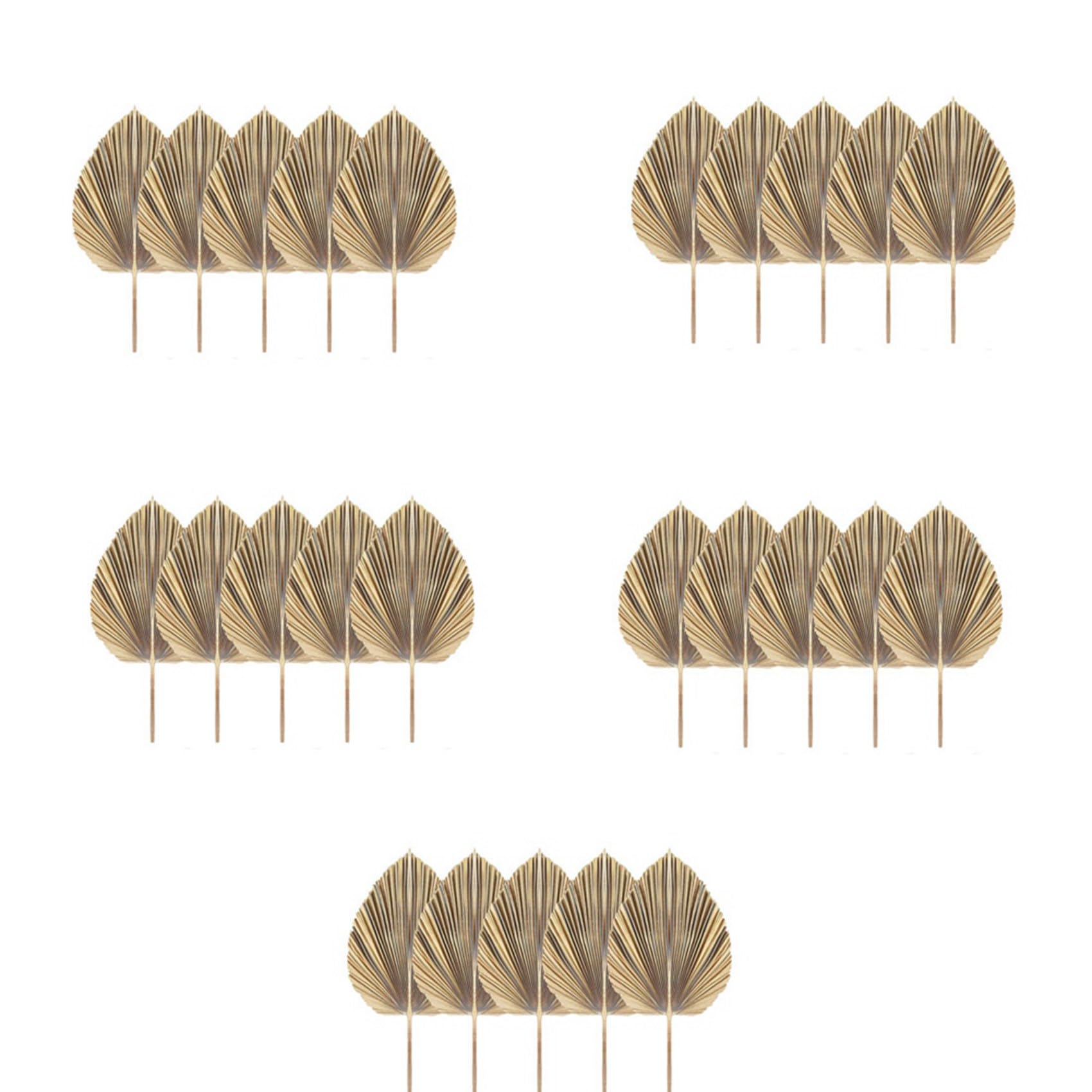 25 Hojas de Palma Secas Naturales, Abanicos de Palma Tropical, Decoración de Hojas Secas Bohemias para El Hogar, Cocina, Boda