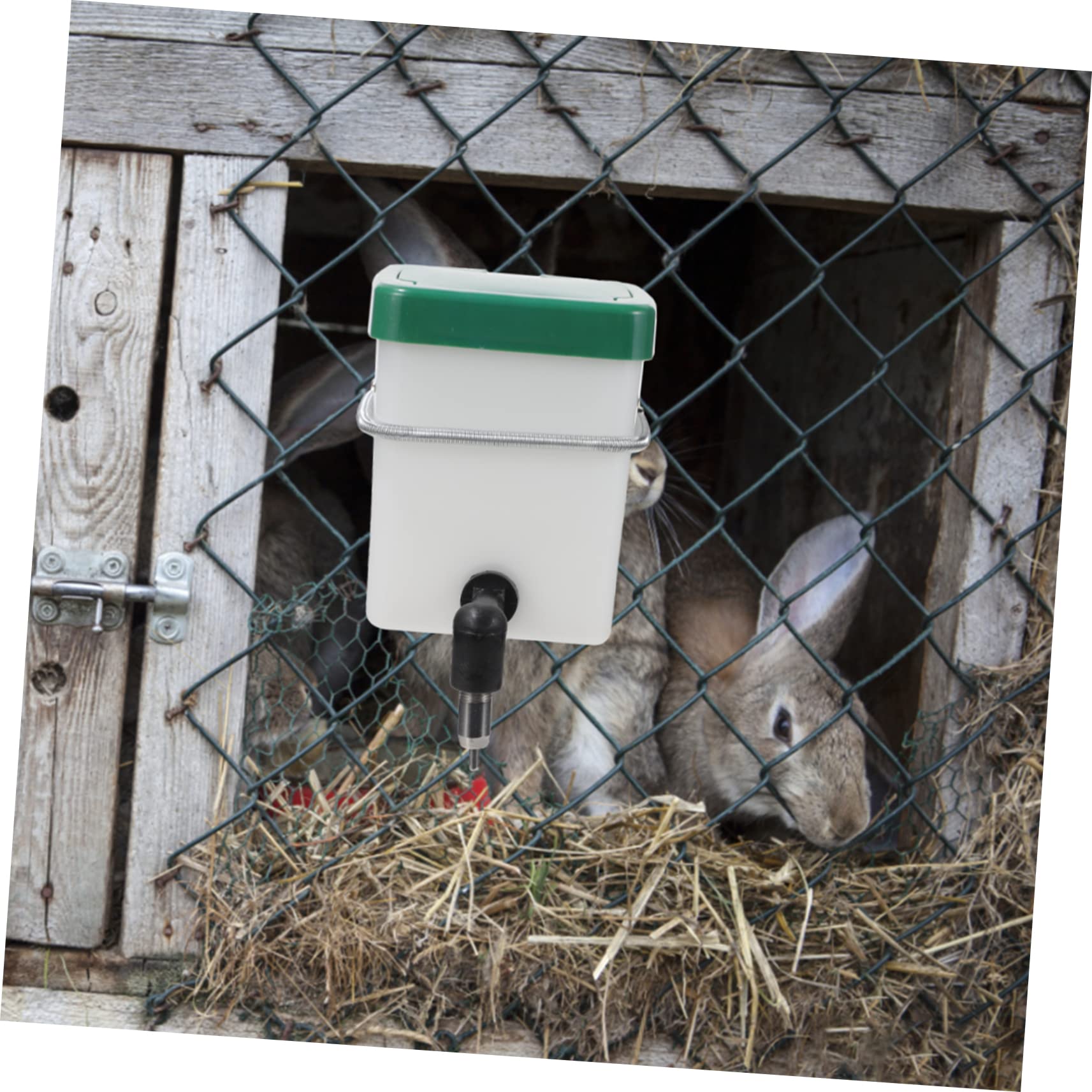 VANZACK 3pezzi Bevitore Automatico Per Conigli e Piccoli Animali Design Antibite Facile Da Installare Adatto Per Gabbie Di Diverse Abbeveratoio Per Animali Domestici