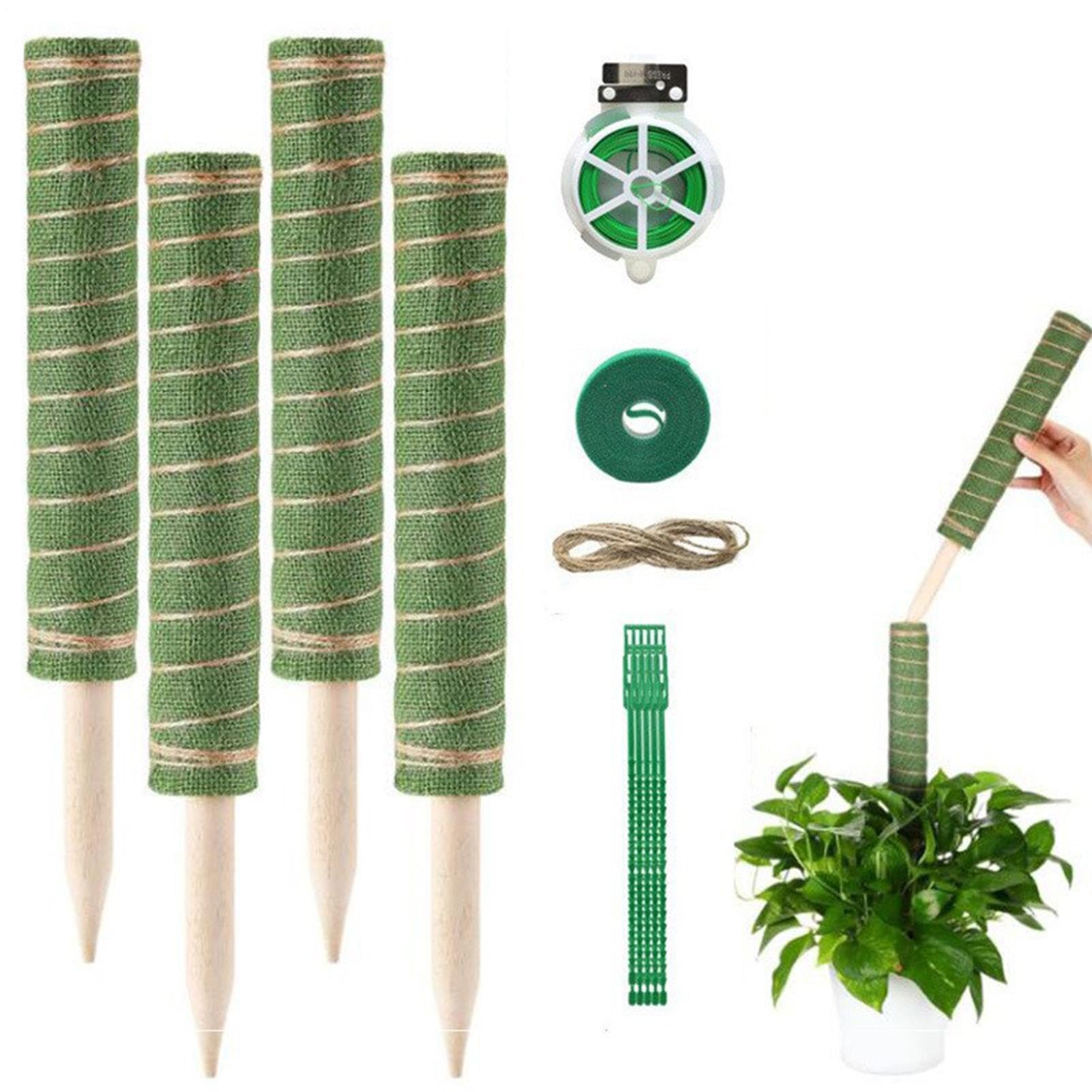 Tuteur pour Monstera Outil de jardinage réutilisable à absorption d'eau | Tuteurs de Support pour s Adapté à l'Intérieur et l'Extérieur Pothos Philodendron Pot Jardinière Balcon Terrasse Jardin