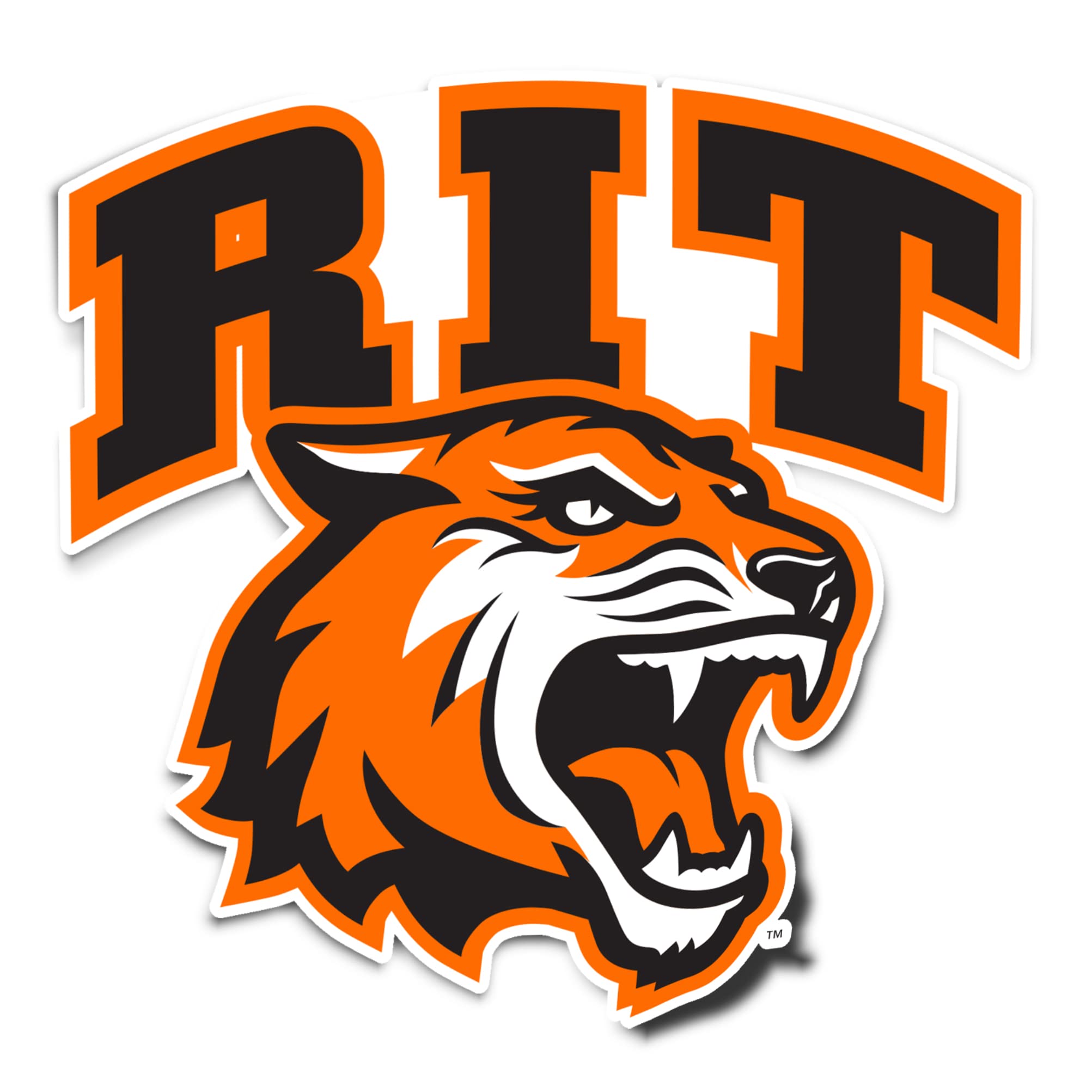 Desert Cactus Rochester Institute of Technology Sticker RIT Tigers Vinyl Decal Laptop Water Bottle Car Scrapbook (IND 00070A)