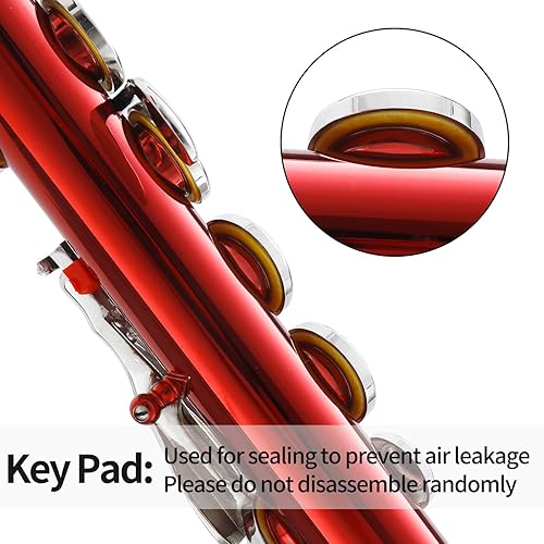 Miniatura 24 de LeSage Flauta C de agujero cerrado de 16 teclas azul para estudiantes principiantes con estuche, kit de mantenimiento, paño de limpieza, pie C