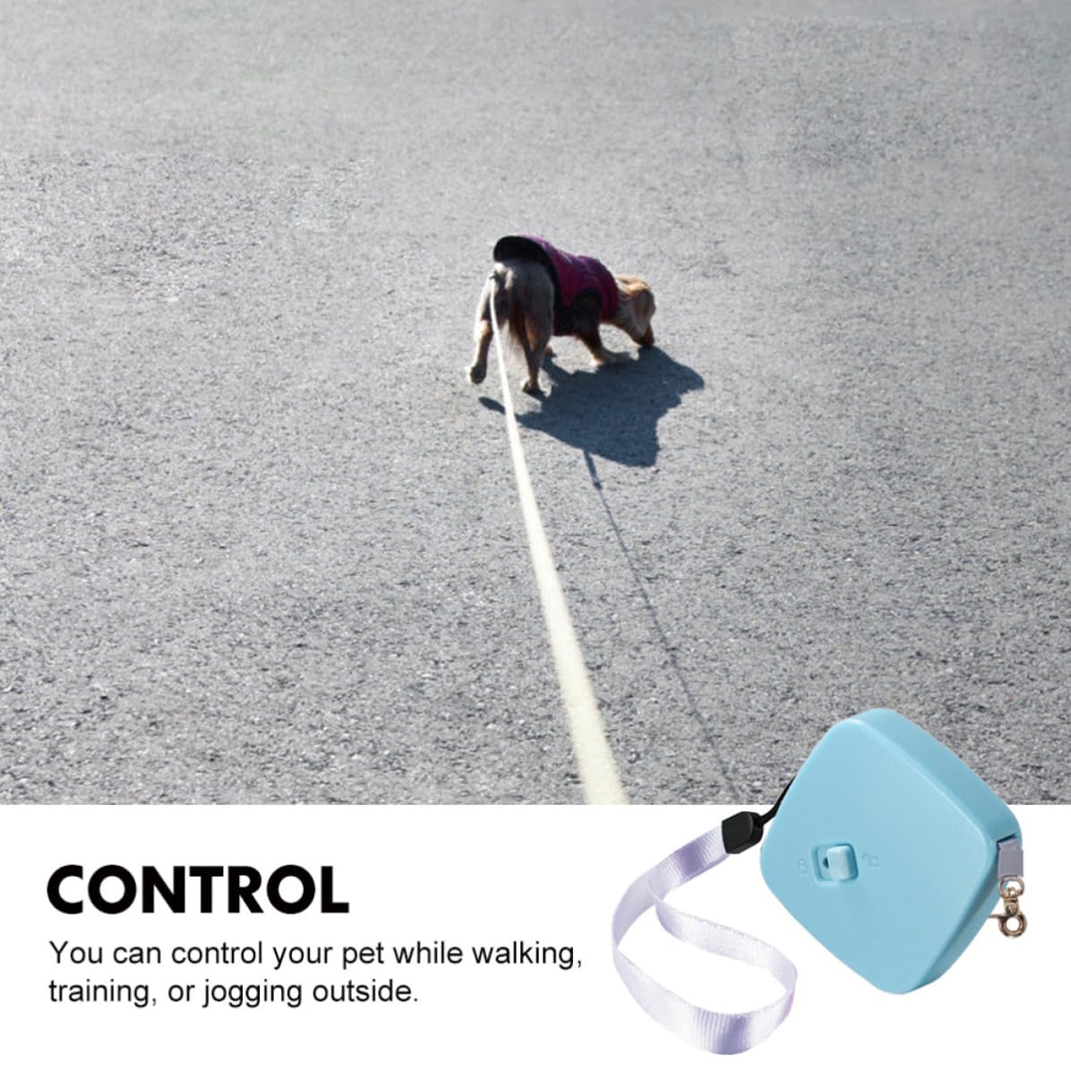 Ausziehbare Hundeleine für Kleine Hunde Tragbare Kleiner Hundeleine aus Nylon mit 2 Meter Länge für Outdoor Spaziergänge