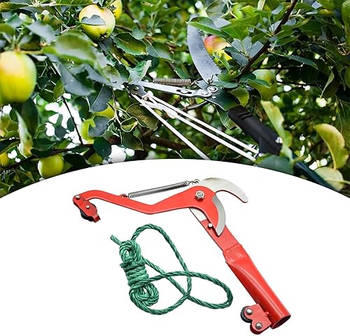 Miniatura 8 de Baoblaze Tijeras de poda de alta altitud, diseño de polea, cortadora de árbol con cuerda, cortador de poda de árboles frutales para cortar ramas,