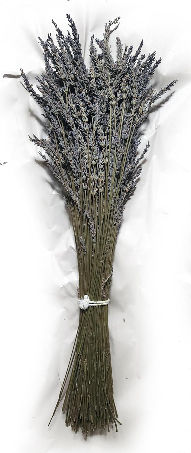 Natural Dried Lavender Flower Bundle Grosso Bulk Bunches | 3000 Stems, 23 inch Extra Long, 8 lb | Home Decoration, Fragrance, Bouquet Weddin