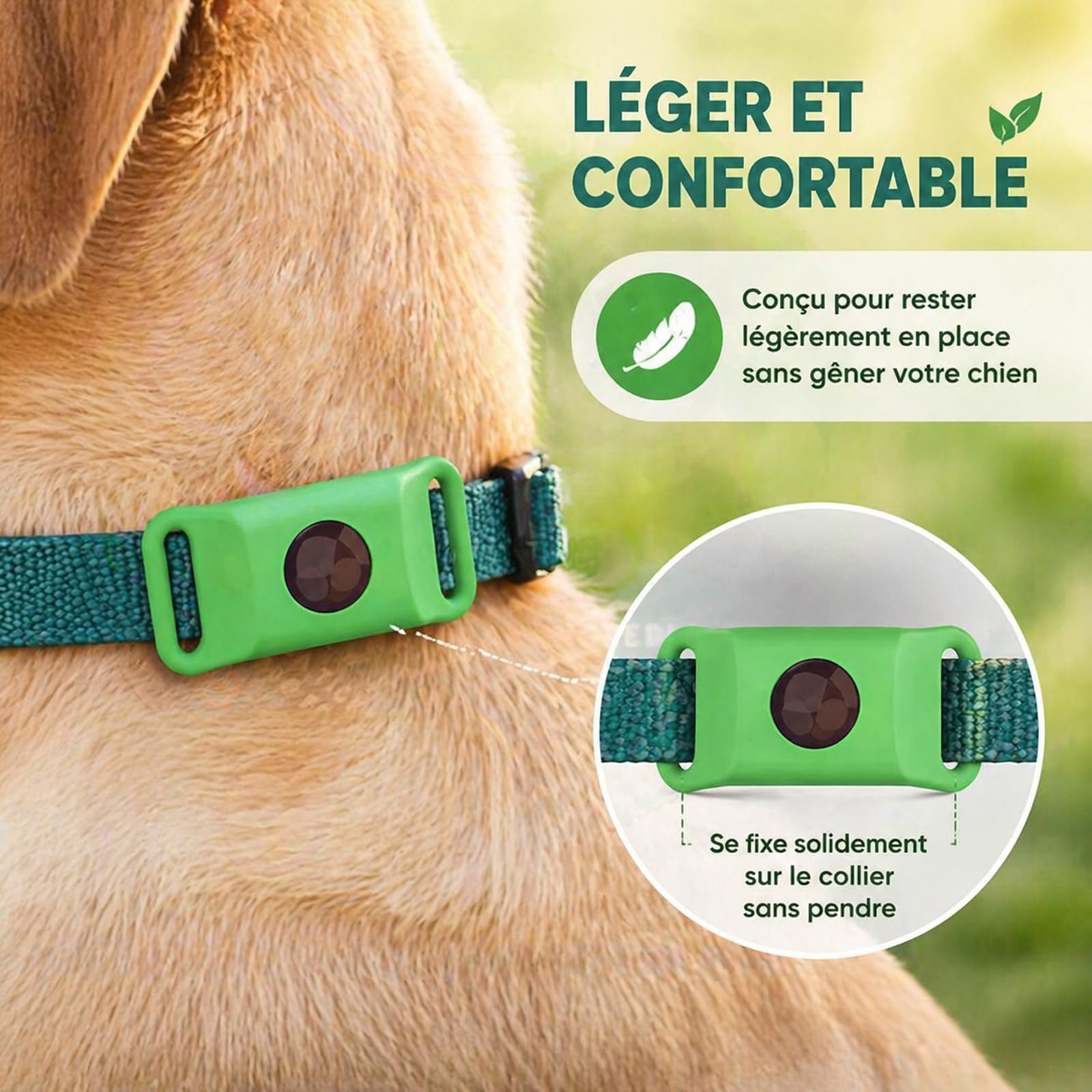 Pendentif Everly Chien - Nouveau Pendentif antiparasitaire Naturel pour Animaux 2026, Médaille de Collier Longue durée pour Une Protection Quotidienne, conçu pour Le Confort des promenades (Green)