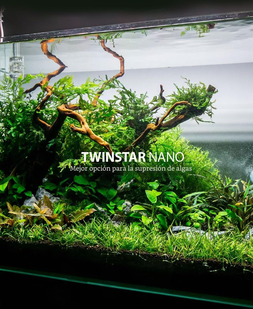 TWINSTAR Nano esterilizador | El original | Inhibición de algas verdes y promoción del crecimiento de las plantas| Hasta 200L