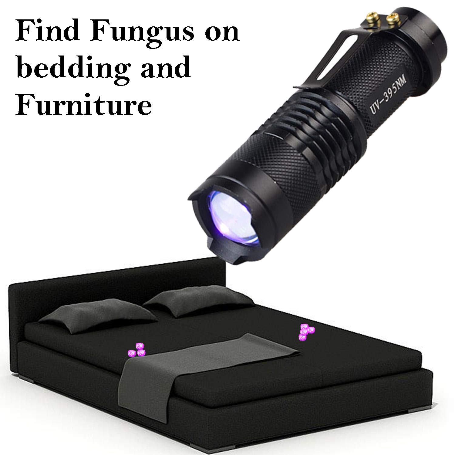 Keyfit Tools GlowMax Ringworm & Fungus Detection for Dogs, Cats