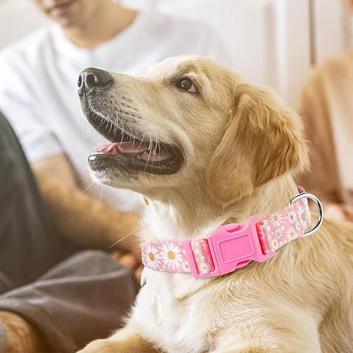 Miniatura 2 de Collares rosas para perros medianos, lindo collar de perro con patrones de margaritas, collar de nailon ajustable cómodo, suave y duradero, para