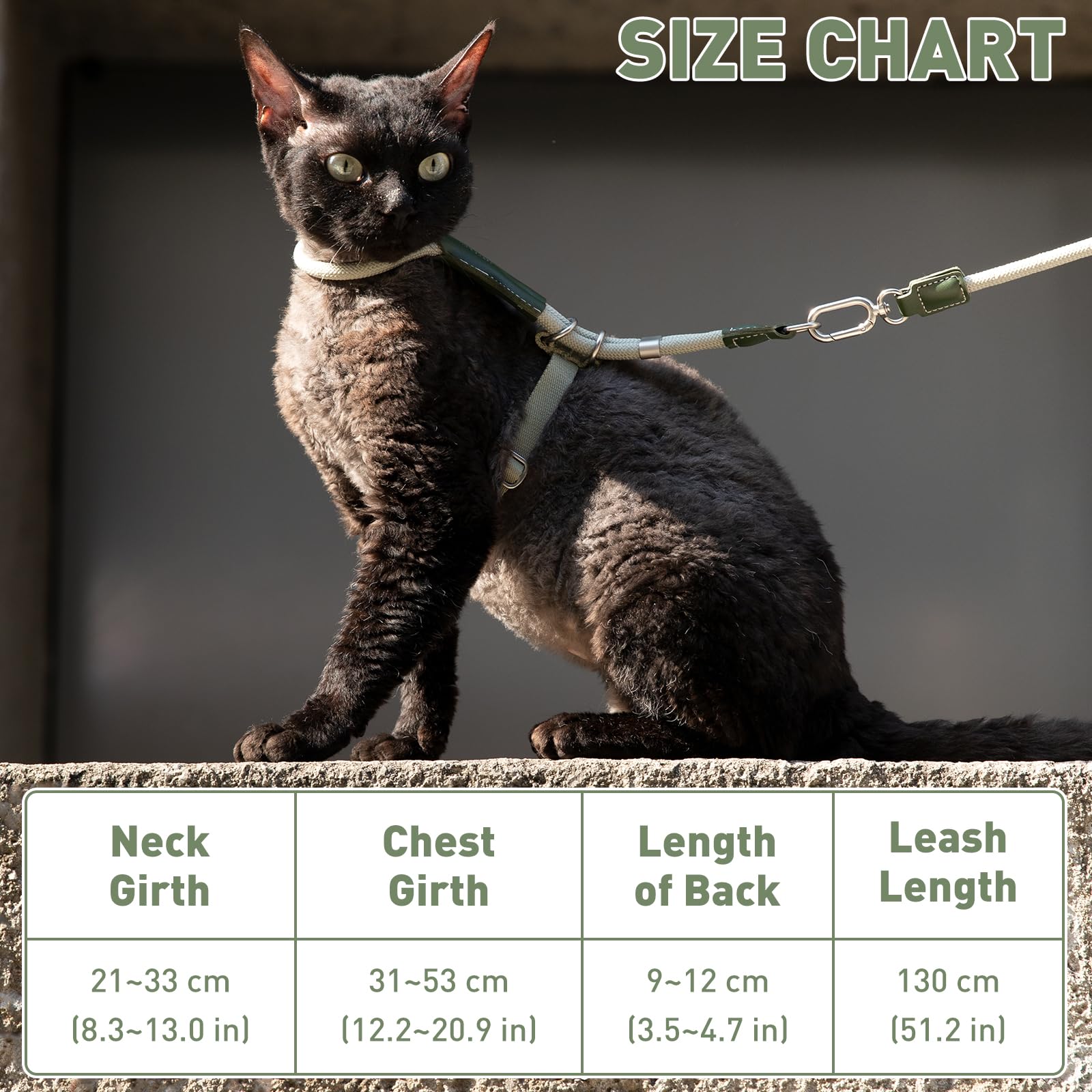ETIAL Hochwertiges, verstellbares, ausbruchsicheres Katzengeschirr und Leine, Set mit Lederschieberücken, 1,3 m Nylonseil, Kreuzgurt, robuste Schnallen für sicheres Gehen, Olivgrün, Rückenlänge 8,9 cm
