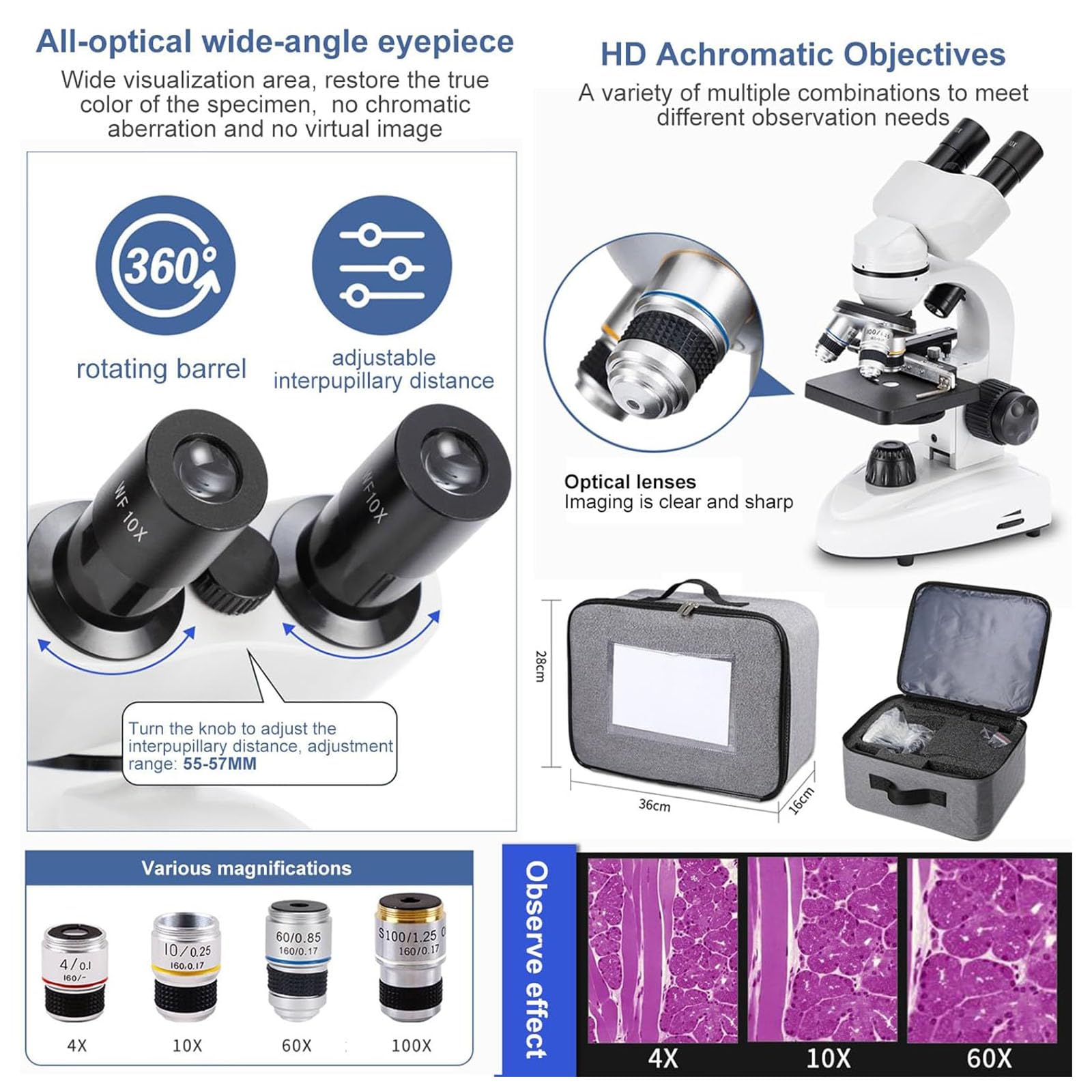 Microscopio Óptico De Laboratorio, Microscopio Binocular Compuesto 40X-2500X, con Ocular Eléctrico De 2.0 MP, Iluminación LED Dual, Captura De Imágenes Y Grabación De Video