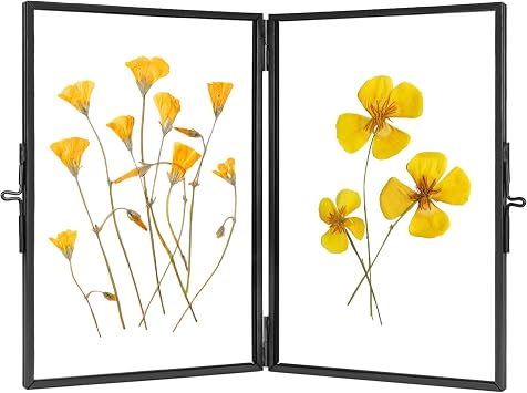 REDHUGO Glass Pressed Flower Frame Handmade, Rectangle, Black, 46 Inches